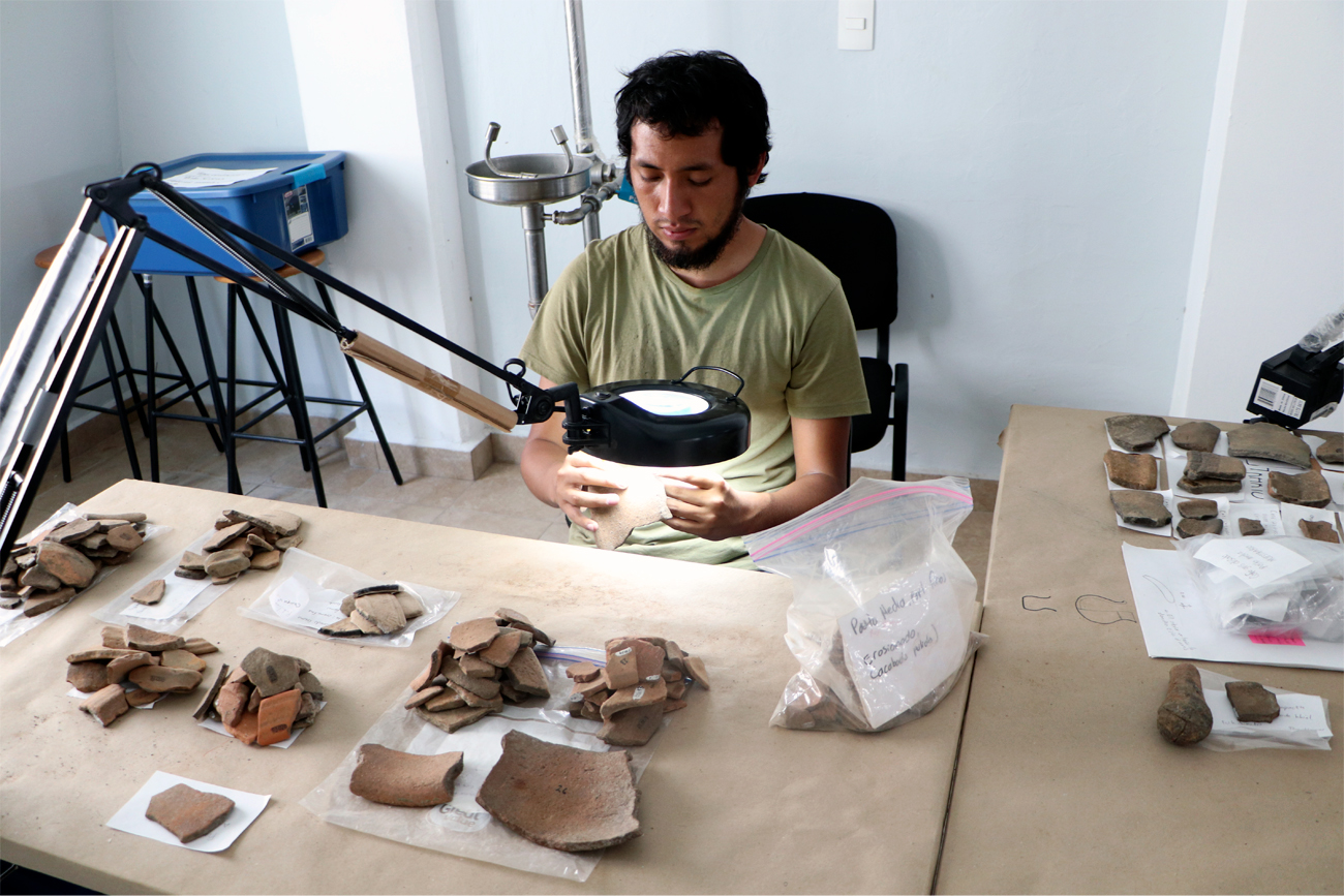 Algunas de las licenciaturas que han ganado terreno en Chiapas son: Arqueología, Ciencias de la Tierra, Desarrollo Humano, Ciencia y Tecnología de los Alimentos, etc.