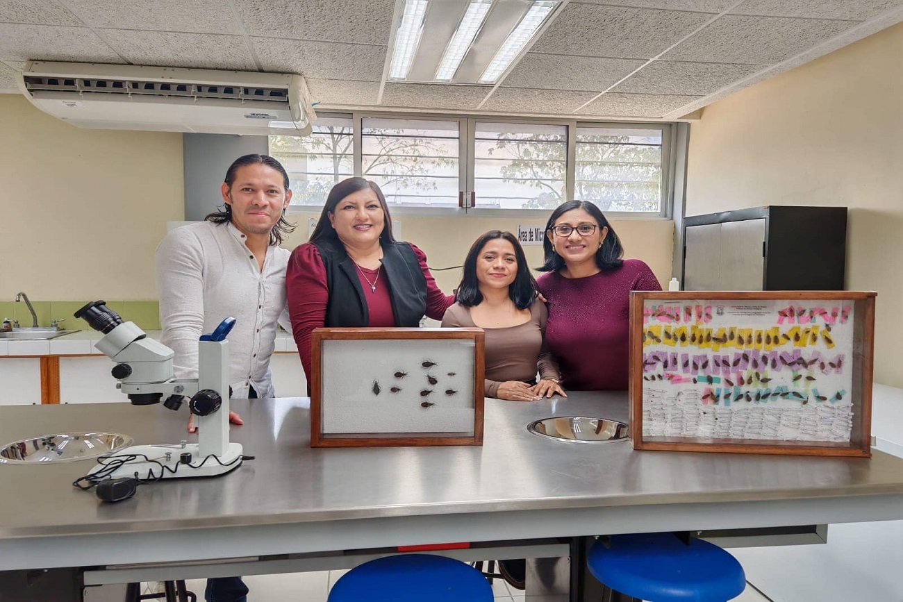  Académica de la UNICACH obtiene financiamiento nacional para estudiar salud comunitaria en pueblos zoques y mayas