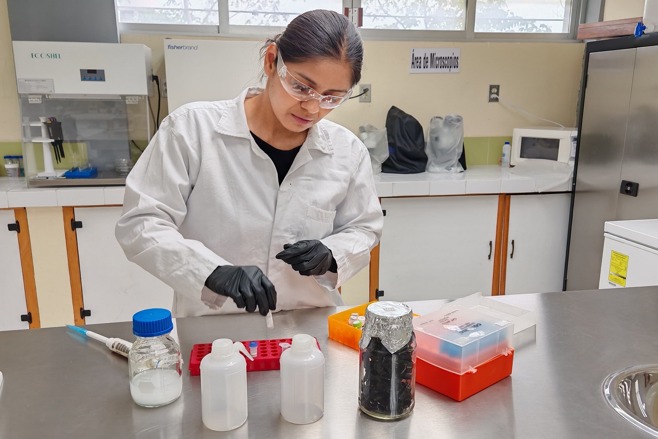 Estudio pionero sobre percepción de enfermedades como el dengue y chagas en comunidades indígenas.
