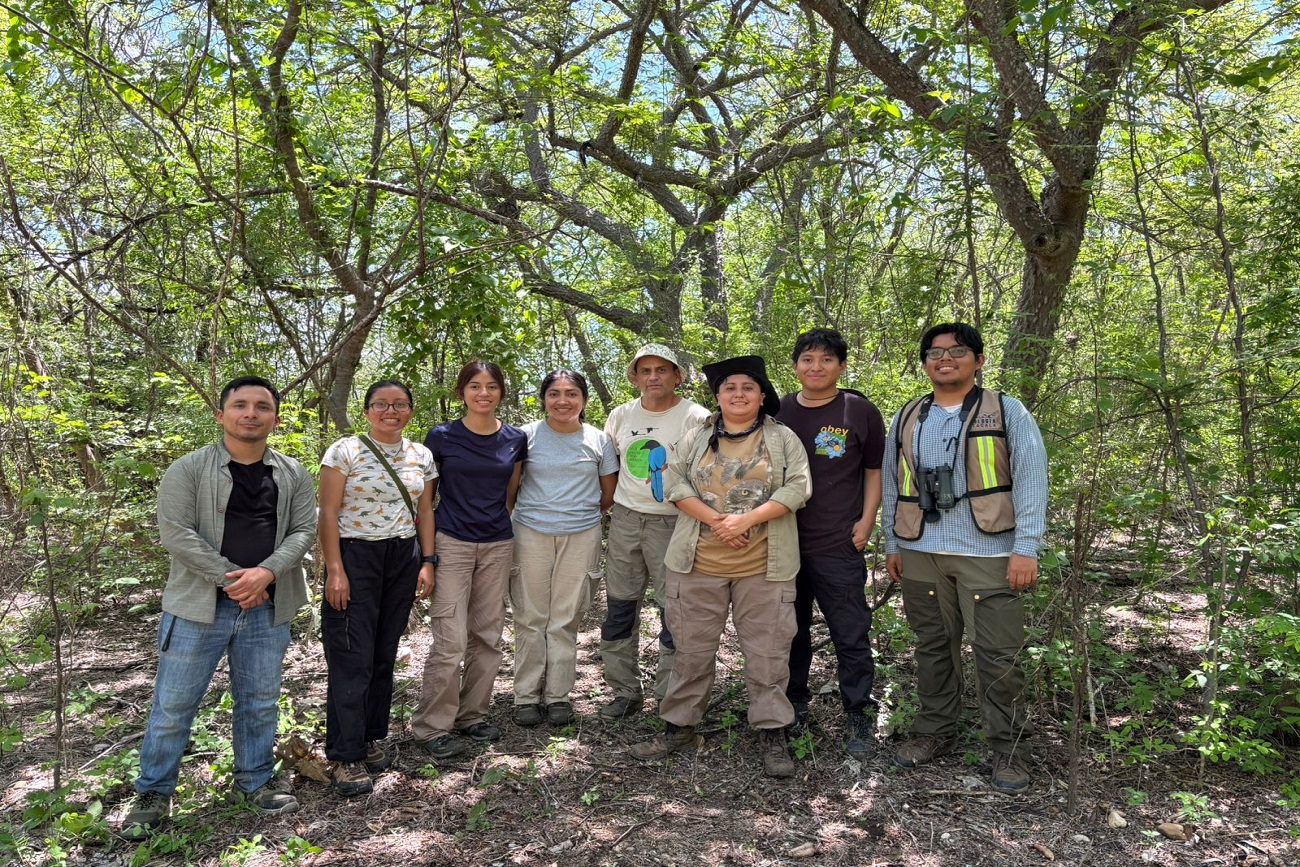 Aves como indicadores ecológicos: avanza proyecto de monitoreo en Chiapas