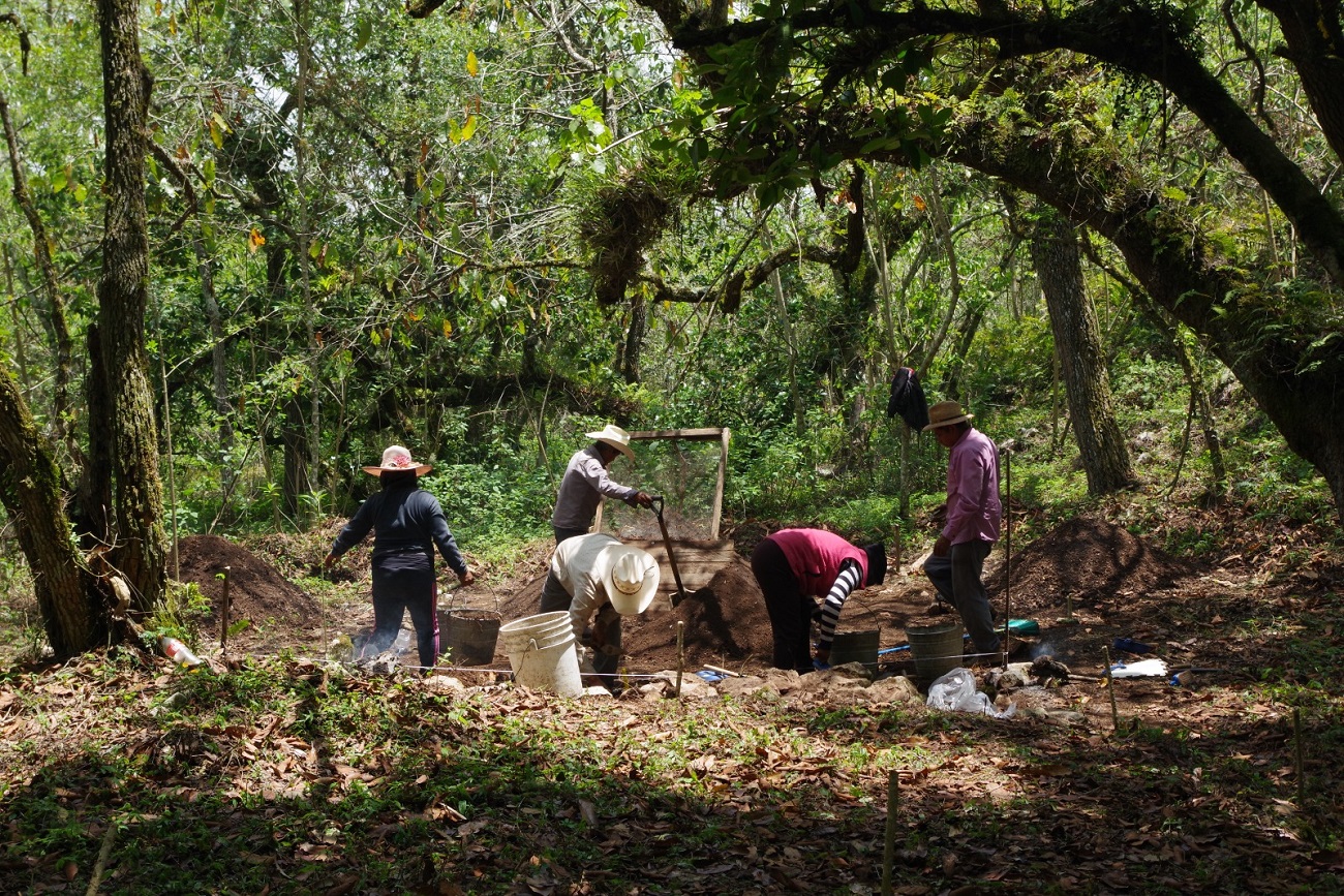 Los especialistas pretenden entender las actividades que se realizaban en el principal espacio público del sitio.