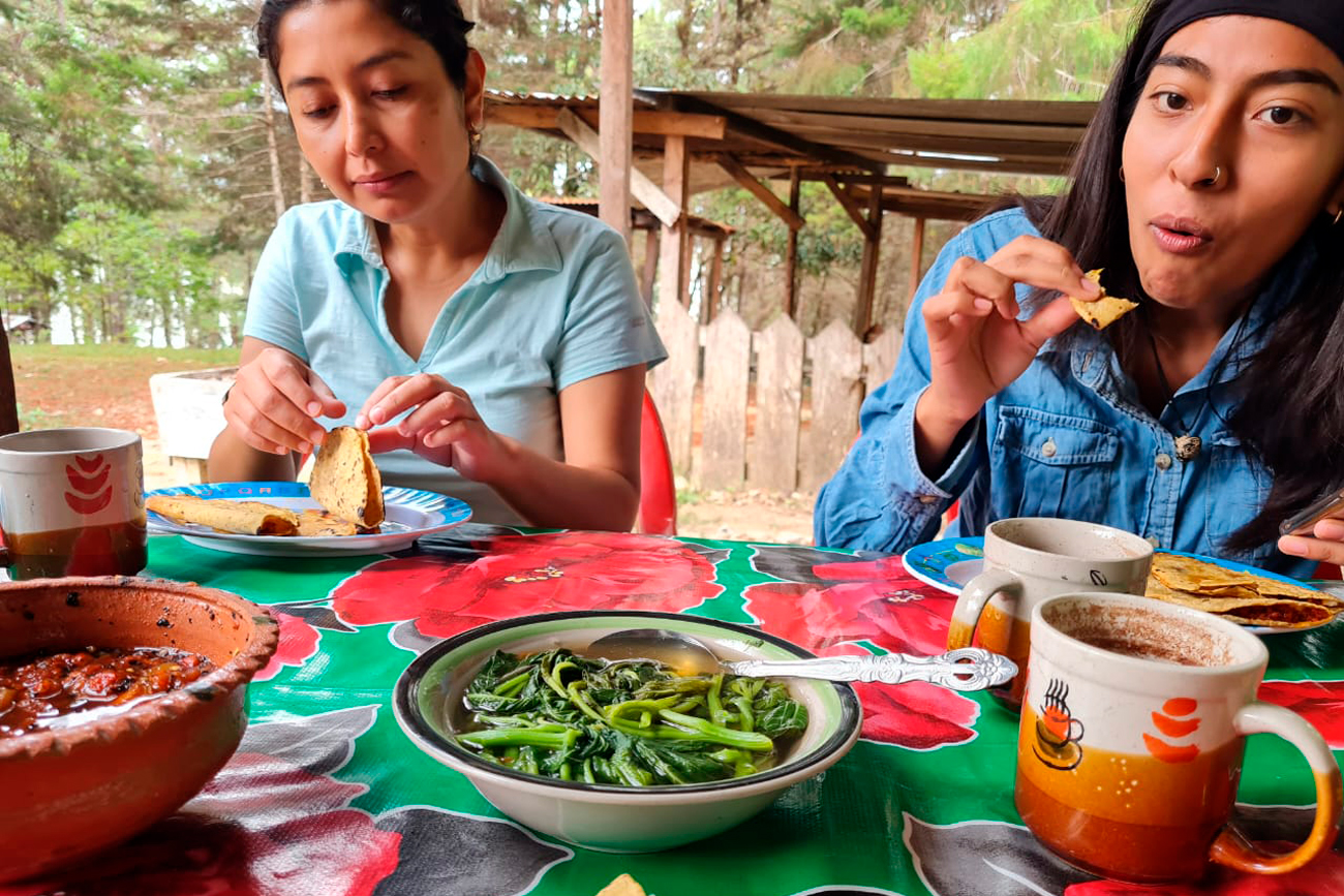 Alimentos antes comunes, como pescados de laguna, plantas silvestres guisadas y una amplia variedad de hongos comestibles, han sido desplazados.