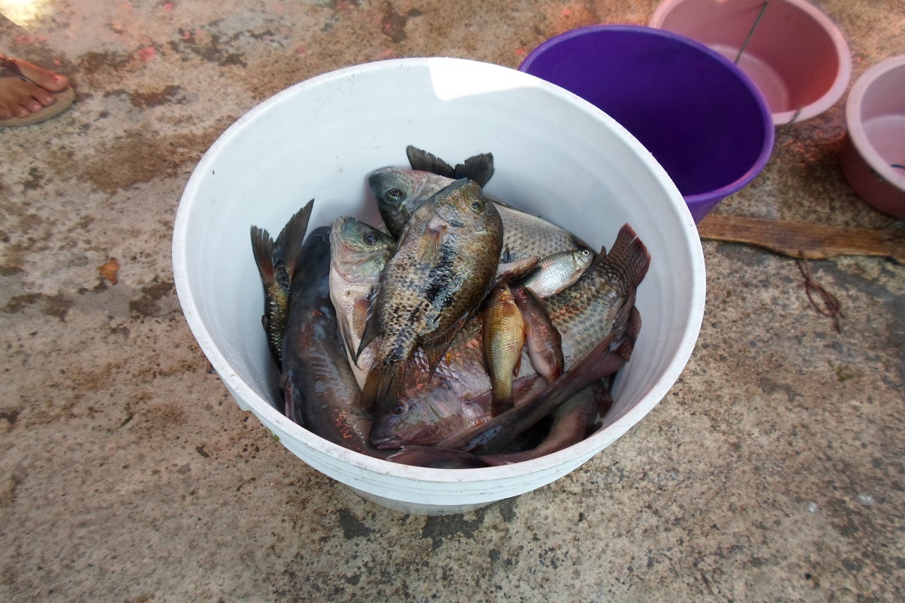 El proyecto  ha contado con la participación activa y constante de estudiantes.