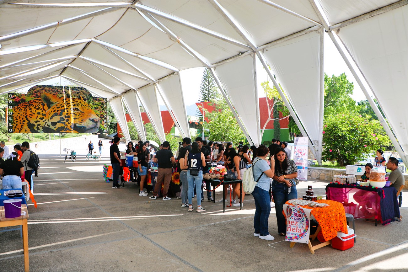 Comunidad universitaria.