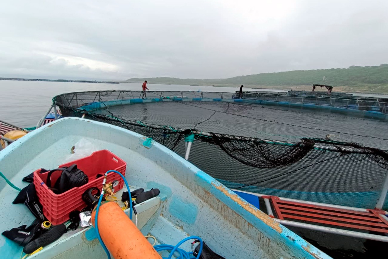 Conservación de Ecosistemas Tropicales