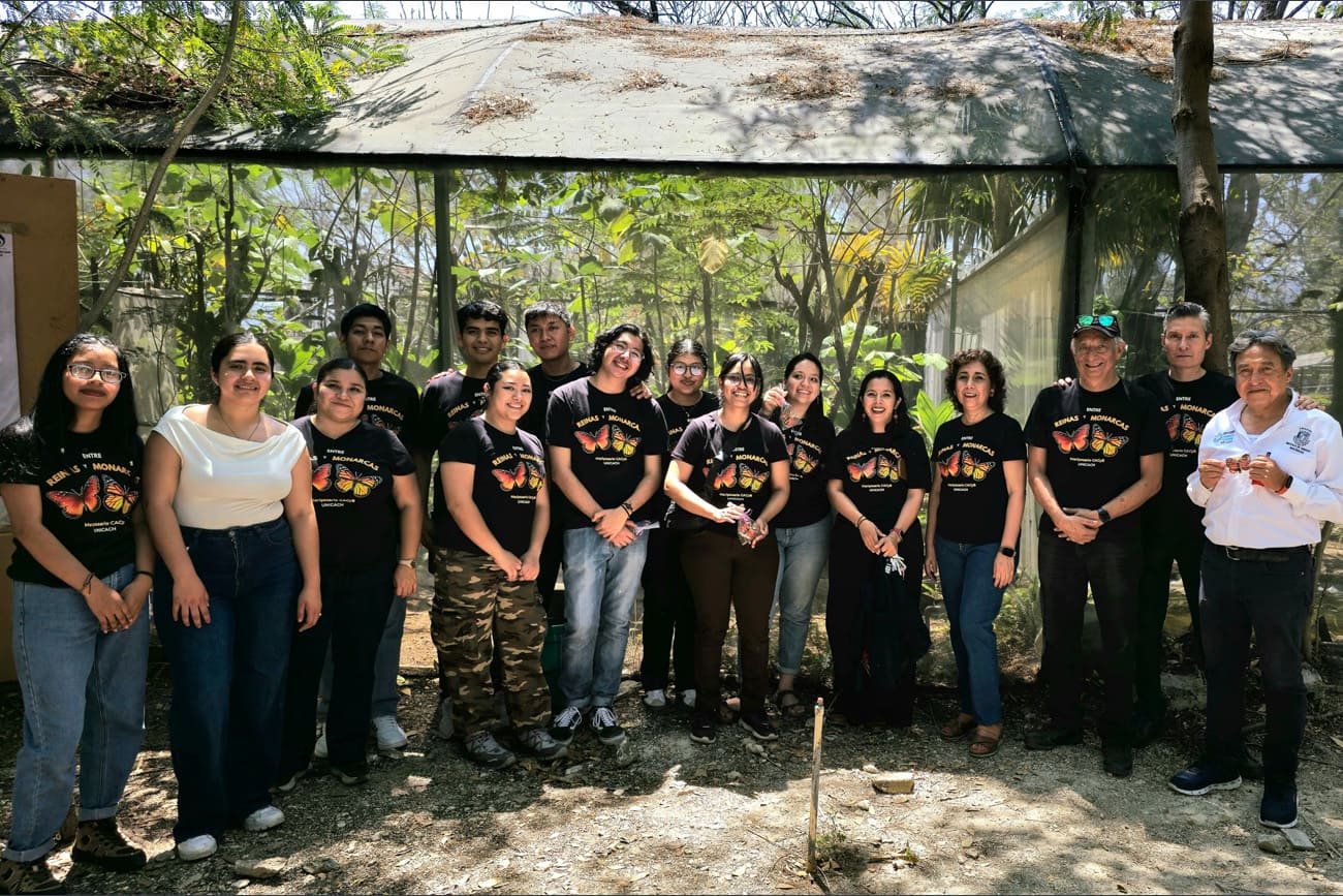 Más investigación, más colaboración: aumenta UNICACH a 28 sus Cuerpos Académicos