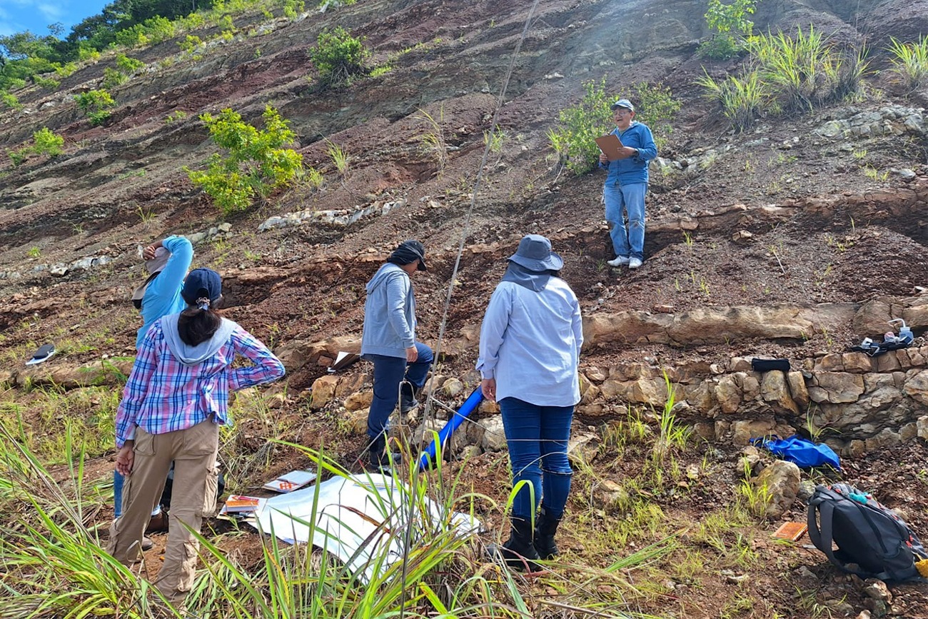 Programa radiofónico 