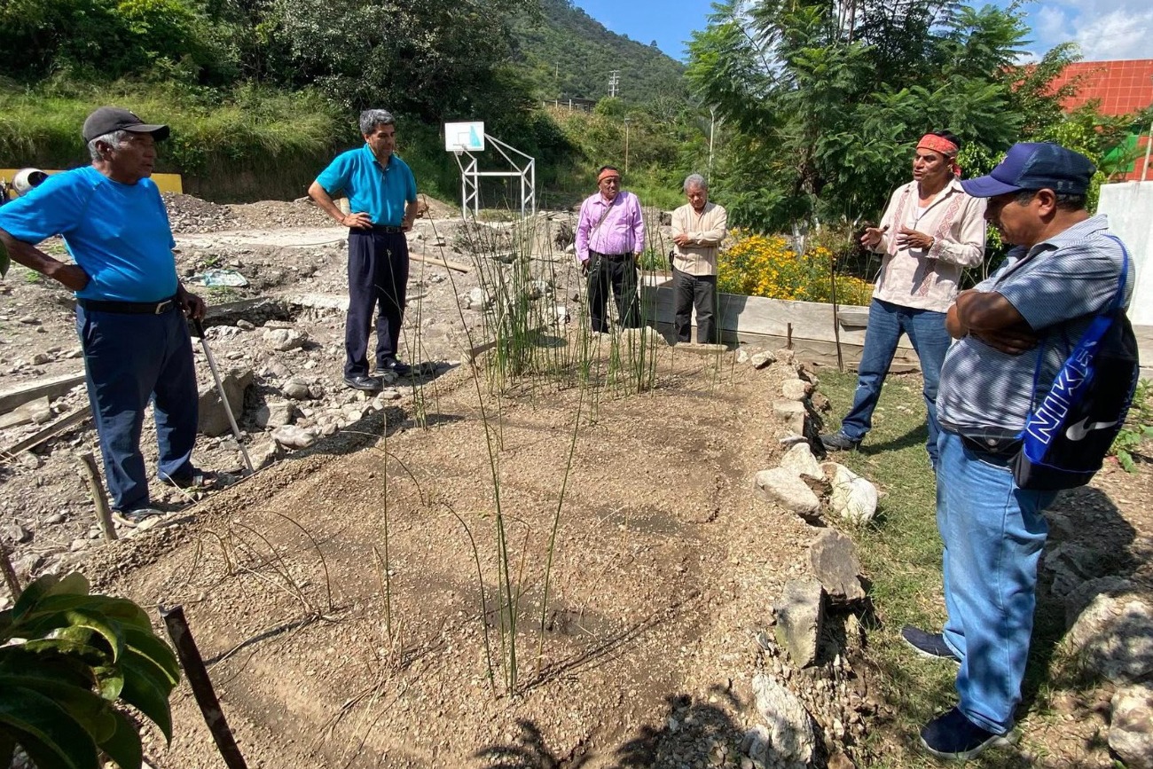 Investigación universitaria impulsa el rescate etnobotánico de etnia Mochó en Chiapas