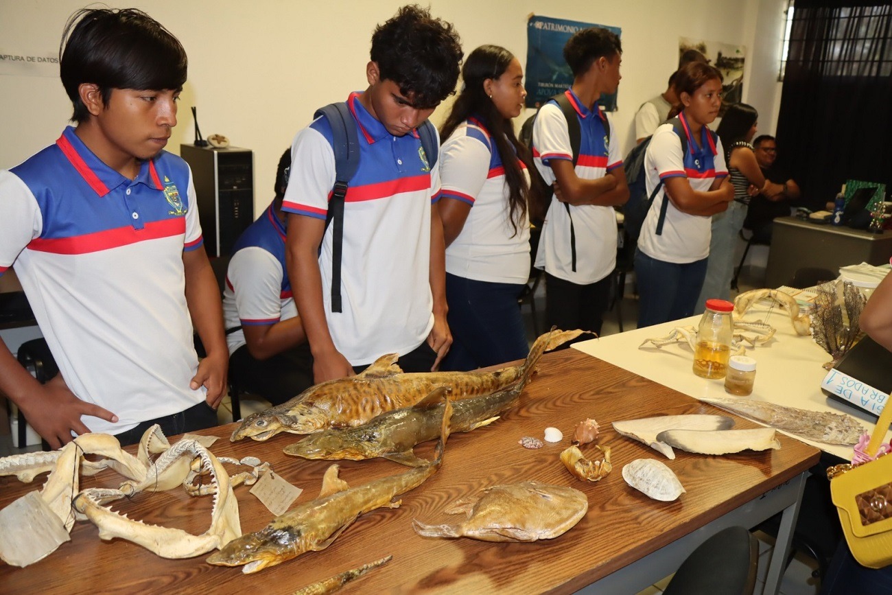 Estudiantes de nivel medio superior,