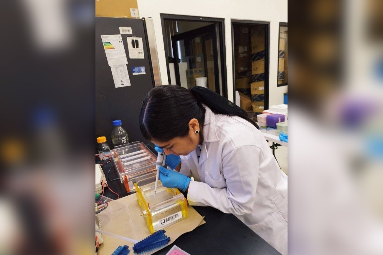 Maestría en Ciencias Agroforestales-UNICACH impulsa innovación con impacto social