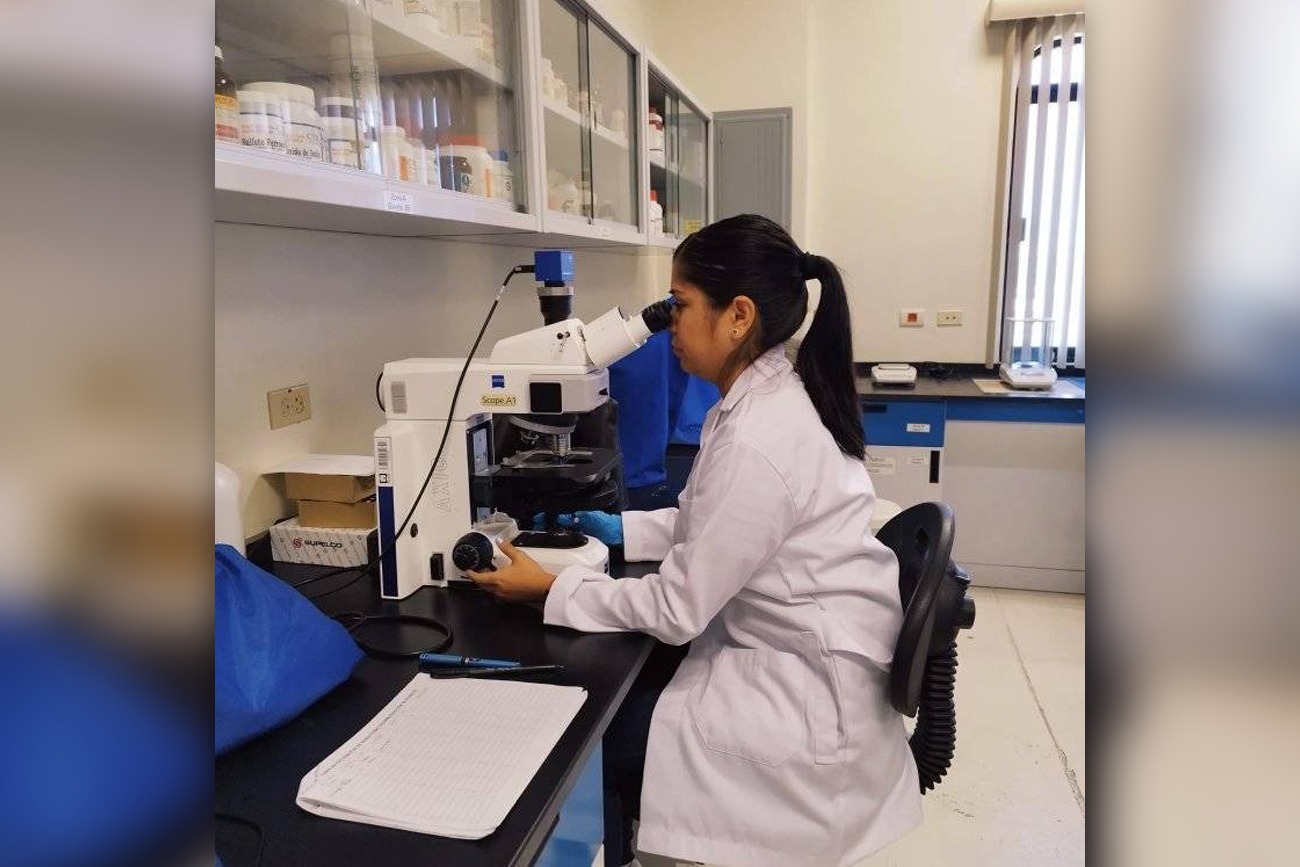  Ciencias Agroforestales-UNICACH 