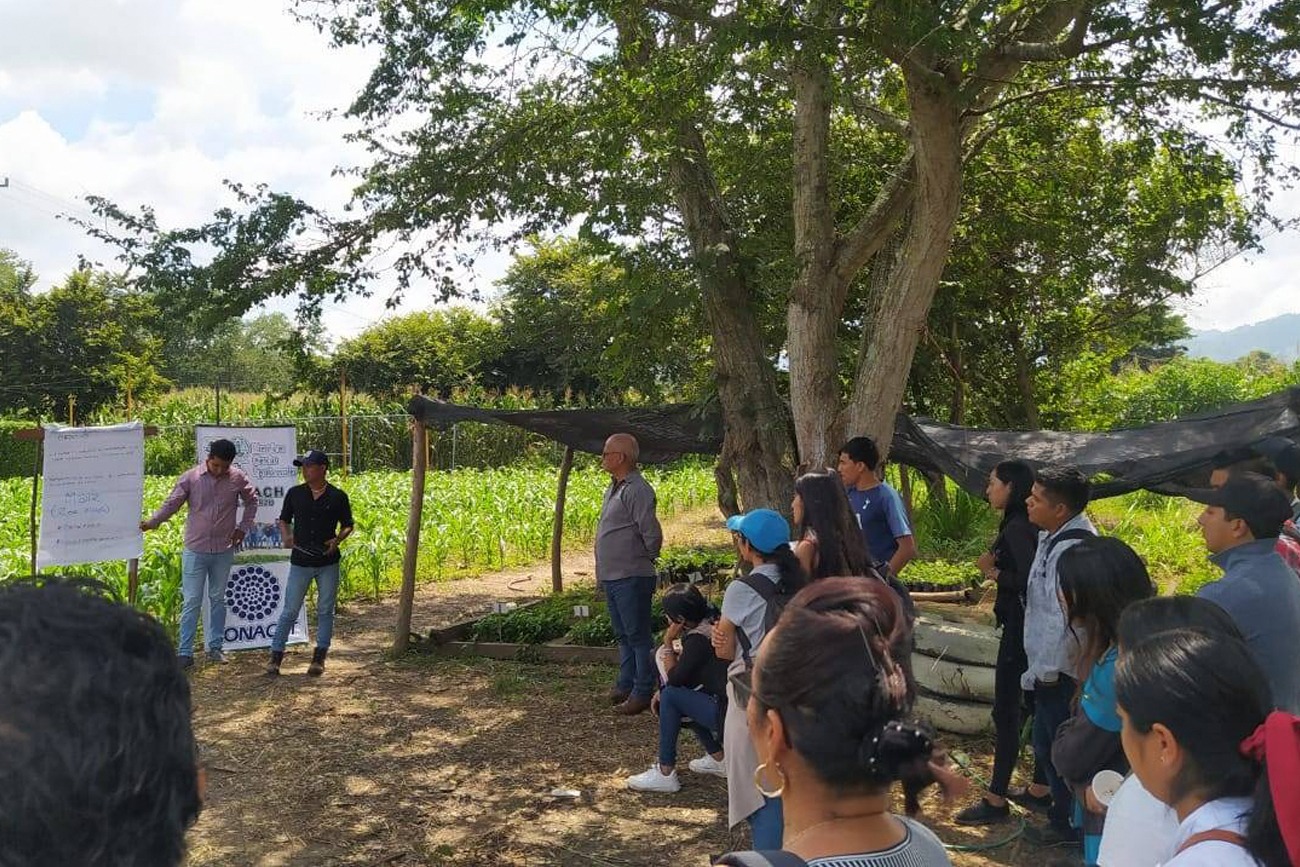 Maestría en Ciencias Agroforestales