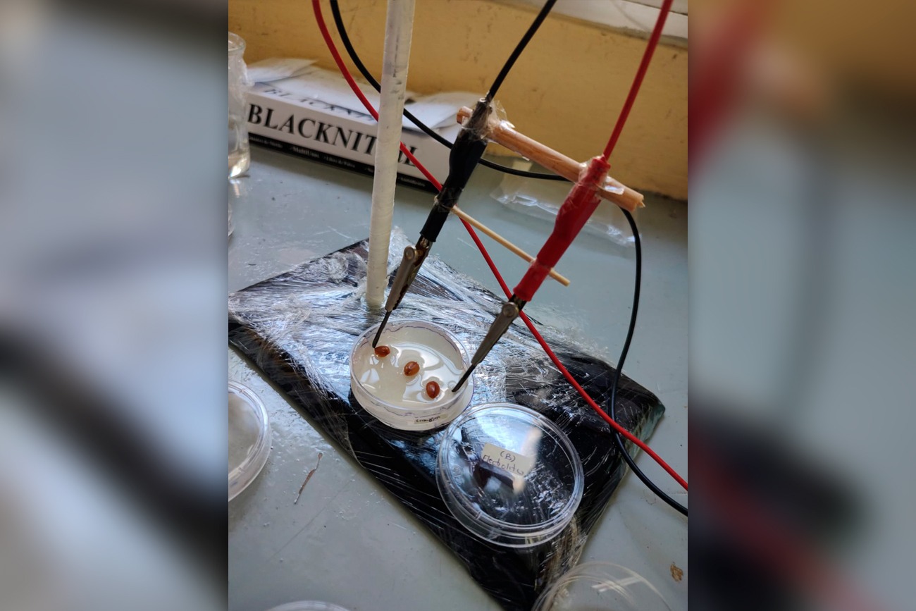 Materiales y Sistemas Energéticos Renovables