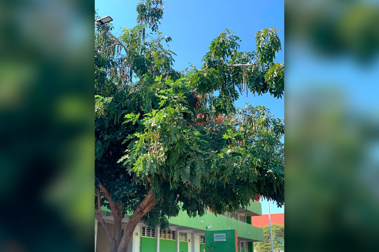 Doctorado en Materiales y Sistemas Energéticos Renovables