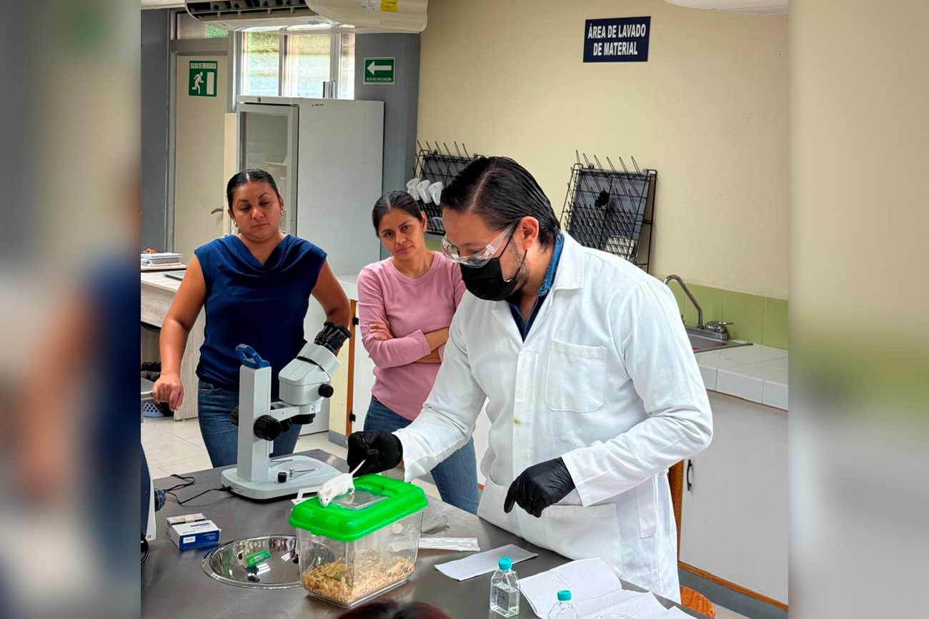 Chincuya y hongos: una alianza natural contra el estrés ambiental