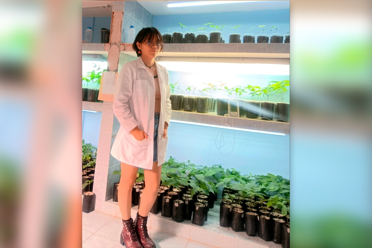 investigación de alto nivel en Chiapas