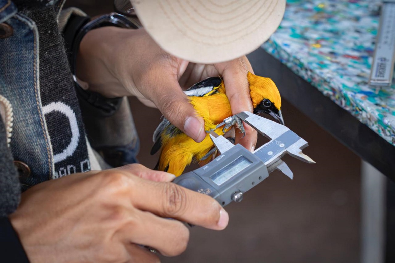 Monitoreo Invernal en Tuxtla Gutiérrez