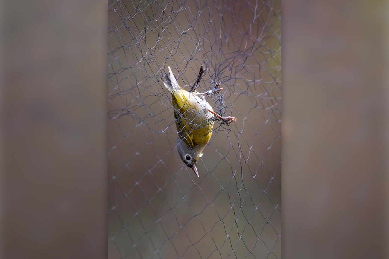 Doctorado en Ciencias Biológicas UNICACH–UNAM, c