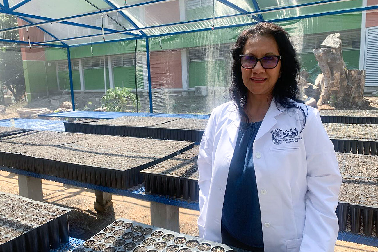 UNICACH y Operación Bendición reforestarán áreas de Berriozábal, Jiquipilas y Ocozocuautla