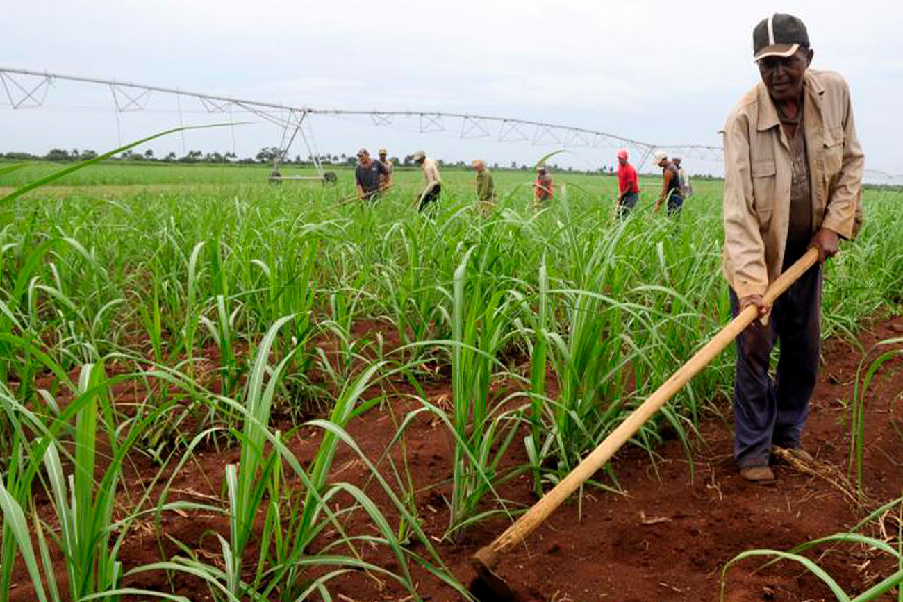 Seminario internacional de UNICACH inaugura nueva temporada sobre bioculturalidad, educación y sustentabilidad