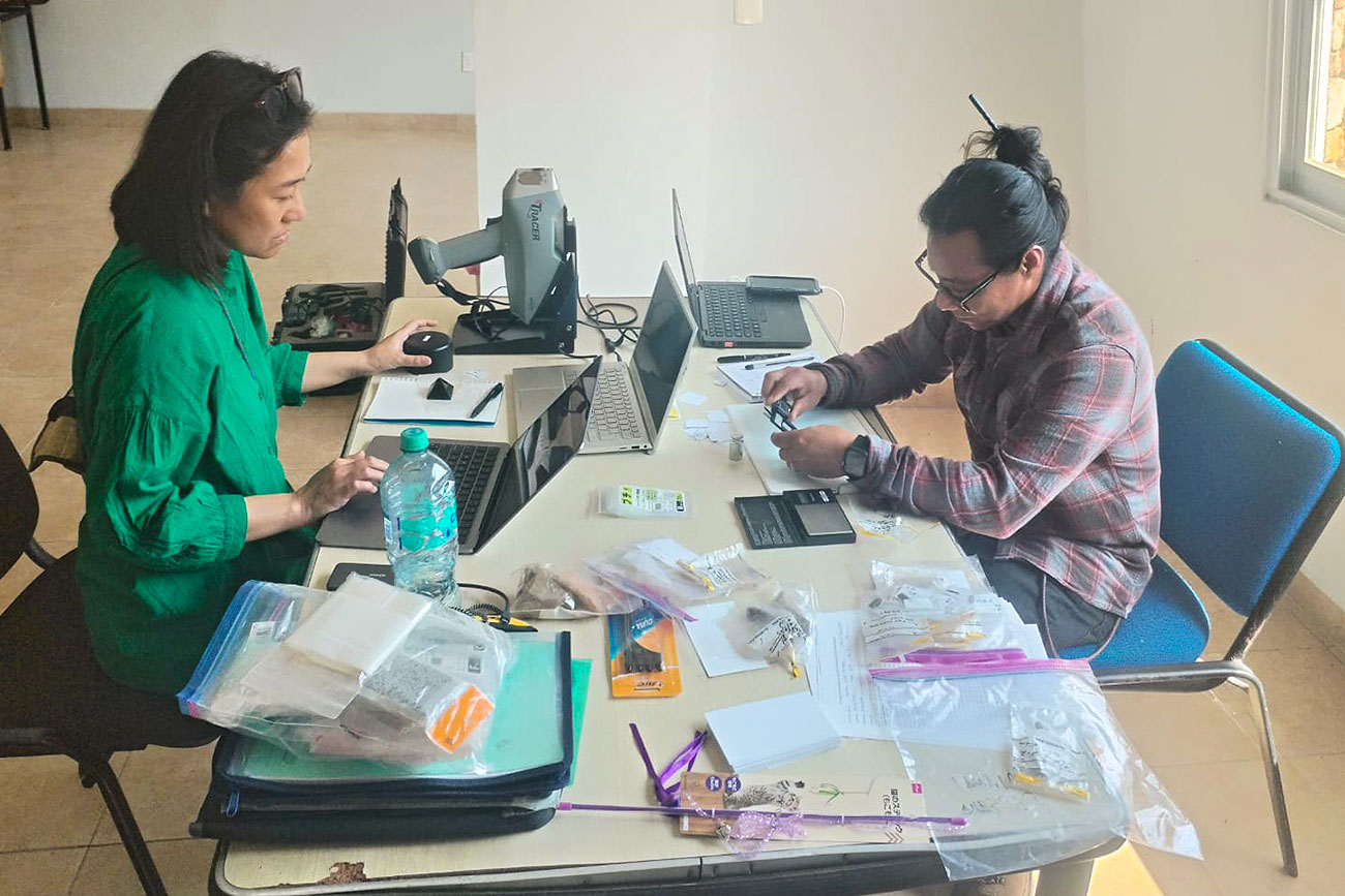 Arqueólogos de Japón y México colaboran en la UNICACH