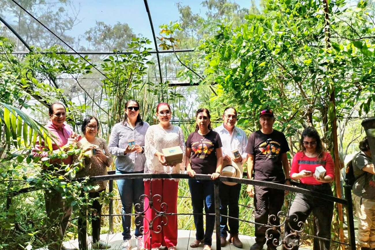 Realiza UNICACH tercera liberación de mariposas para fortalecer la conservación de especies locales