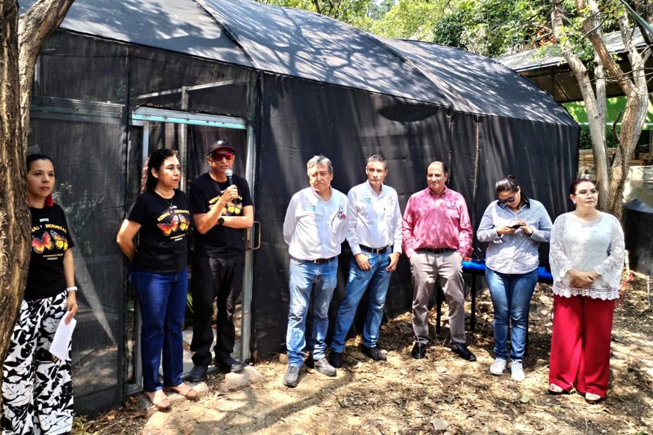 Realiza UNICACH tercera liberación de mariposas para fortalecer la conservación de especies locales