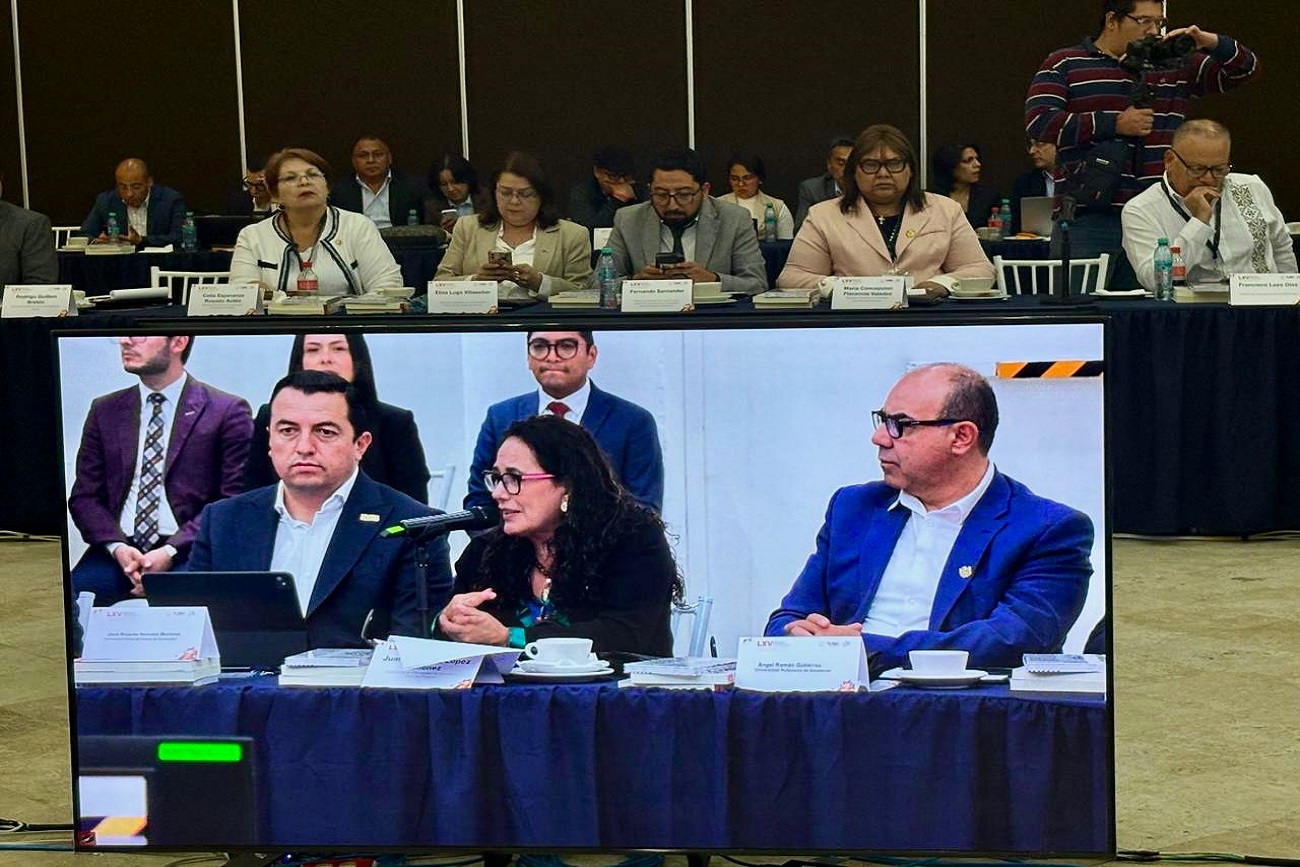 Participa rectora de UNICACH Fanny López Jiménez en sesión del CUPIA-ANUIES